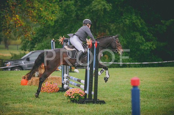 JJS_8267