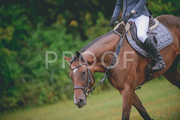 JJS_0954