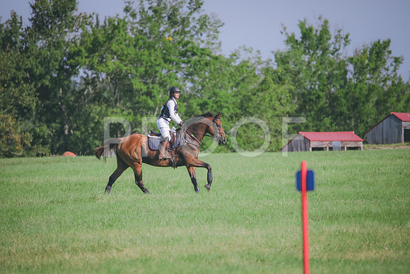 RWP_6226