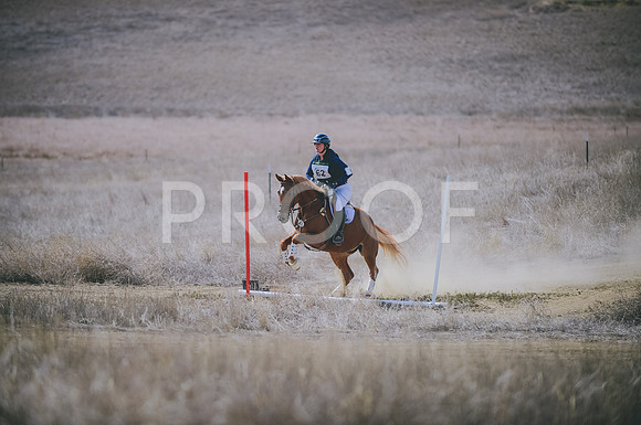 JJS_0236
