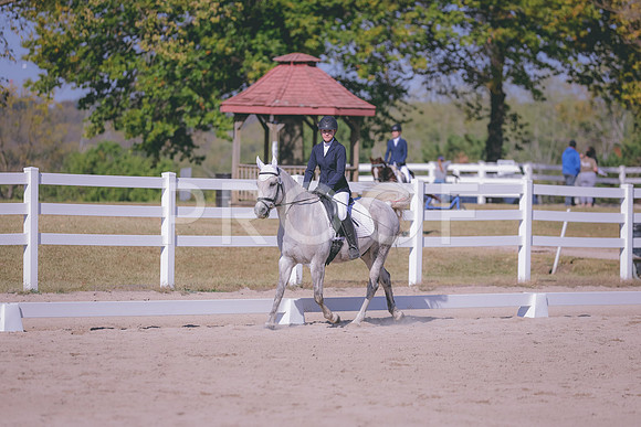 HLJ_2918