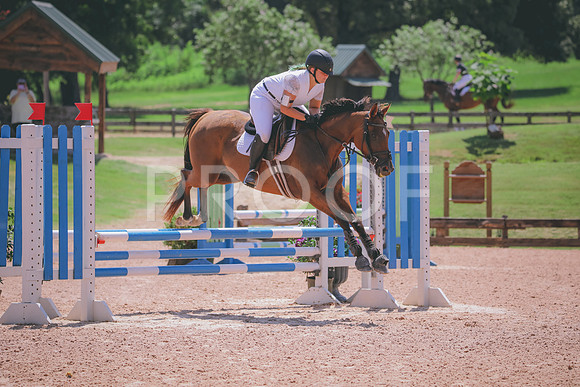 RWP_5359