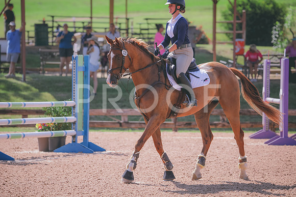 RWP_4834