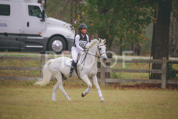 RWP_3596