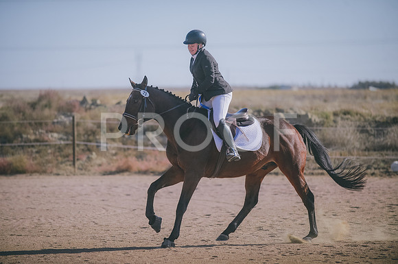 JJS_1876A