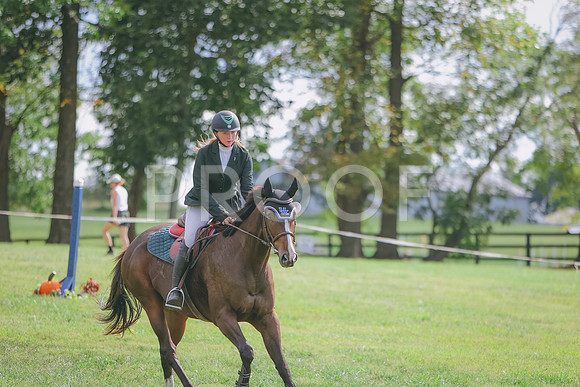 3T5A5580