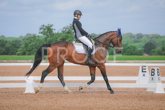 RWP_4159