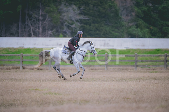 JJS_8777