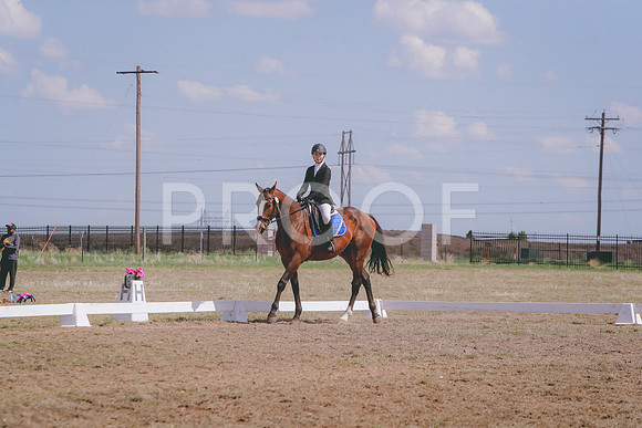 CDH_9071