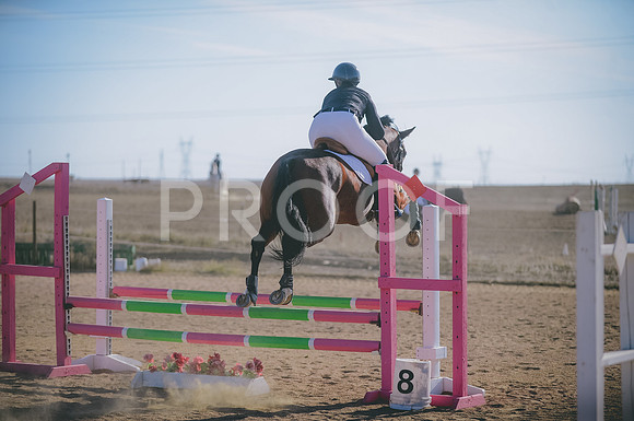 JJS_0210