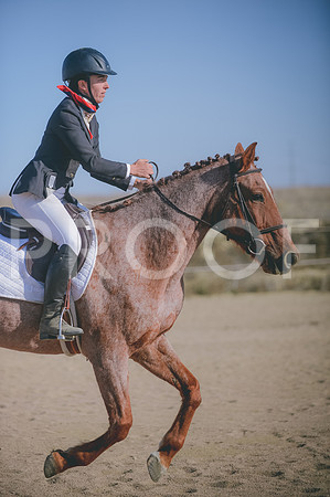 JJS_1445