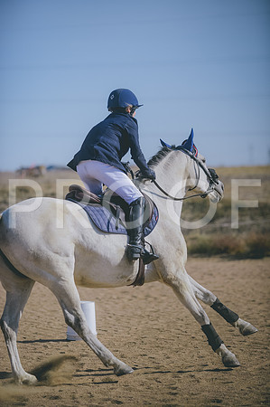 JJS_3905