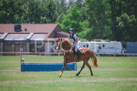 RWP_0529