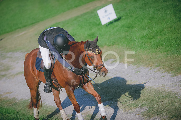 JJS_3721A
