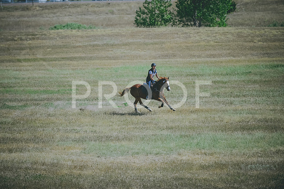 JJS_0653