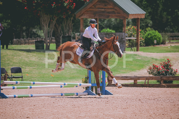 RWP_5607