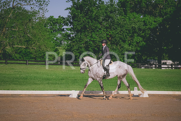 2E8A3563