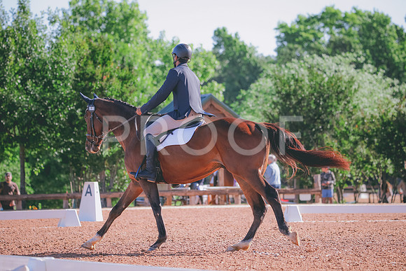 RWP_9335