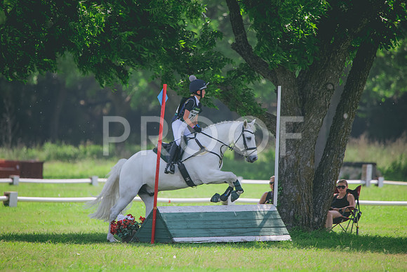 RWP_4428