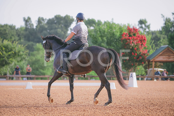 RWP_4245