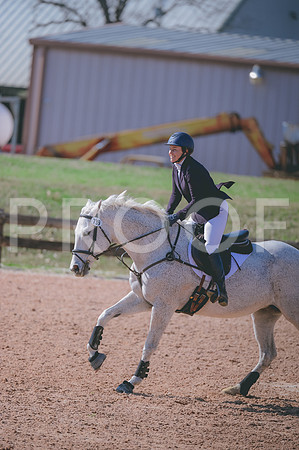 JJS_7443