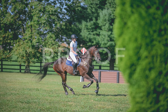 000_5842