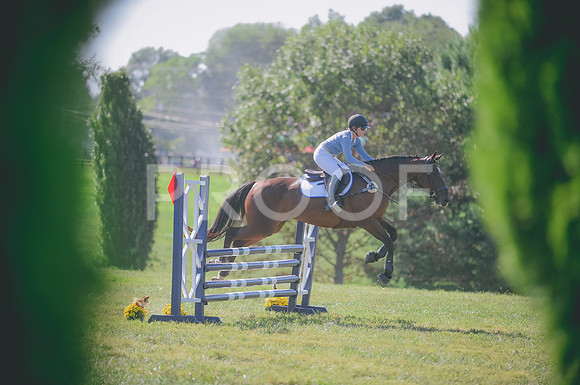 000_4655