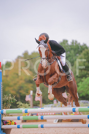 JC5_3955