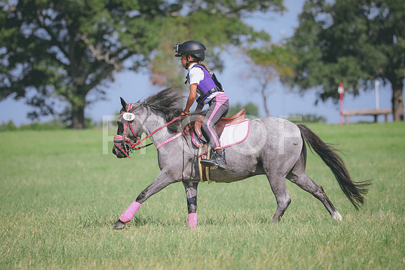 RWP_6457