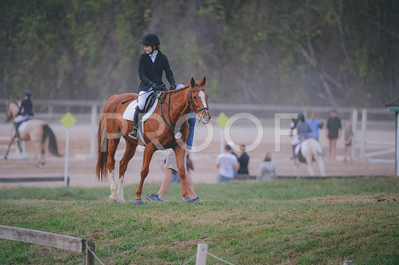 JJS_3294
