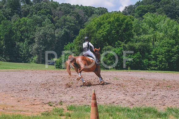DSC_6415