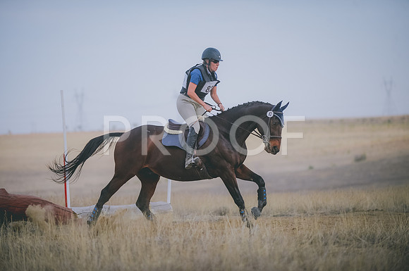 JJS_3633