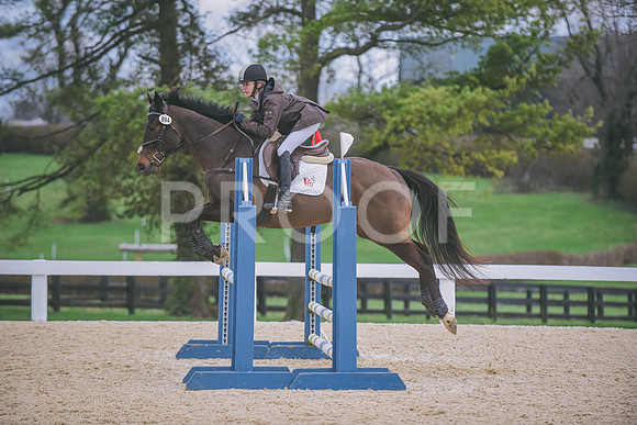 DSC_0408 copy