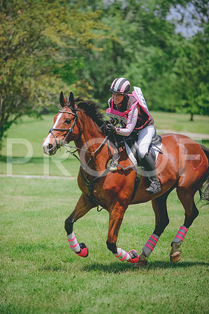 JJS_8213