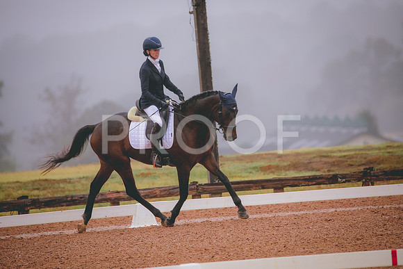 RWP_0772