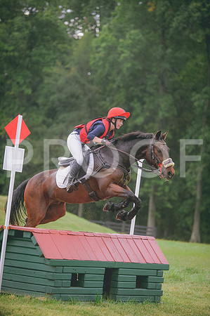 000_3106