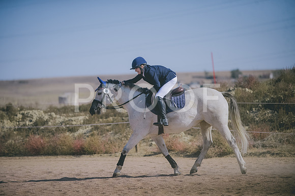 JJS_3916