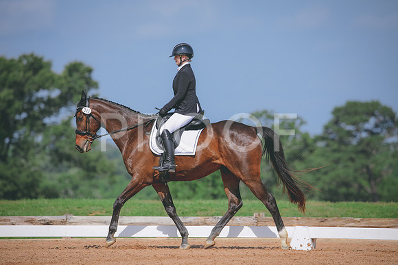RWP_4037