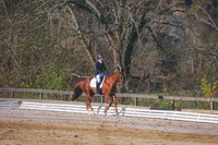 3T5A0020