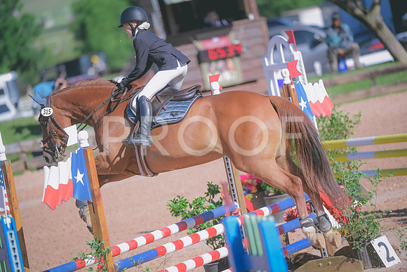_DSC3531