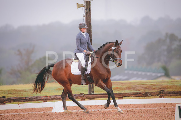 RWP_1071