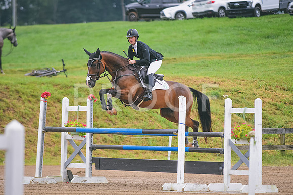 DSC_8703