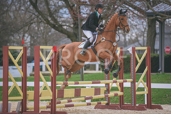 DSC_0086 copy