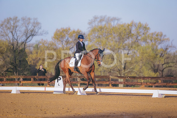 0N0A0235