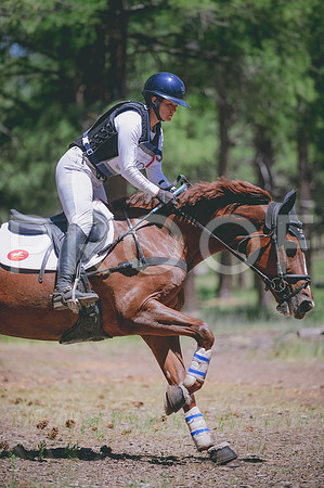 JJS_1741