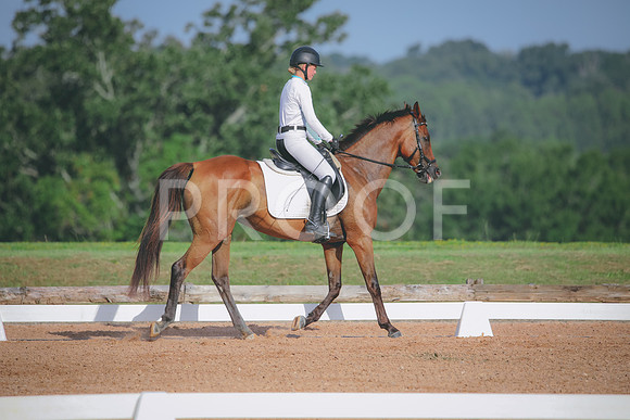 RWP_4473
