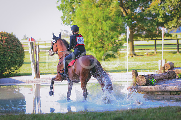 BH247933