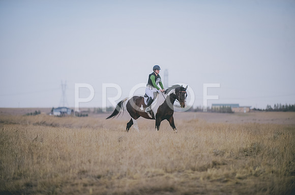 JJS_4179A