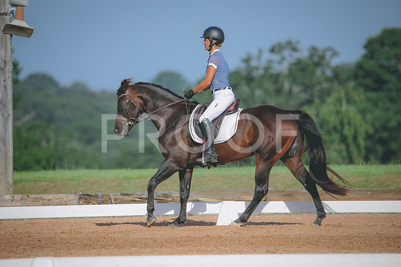 RWP_4597
