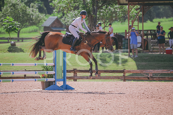 RWP_4880